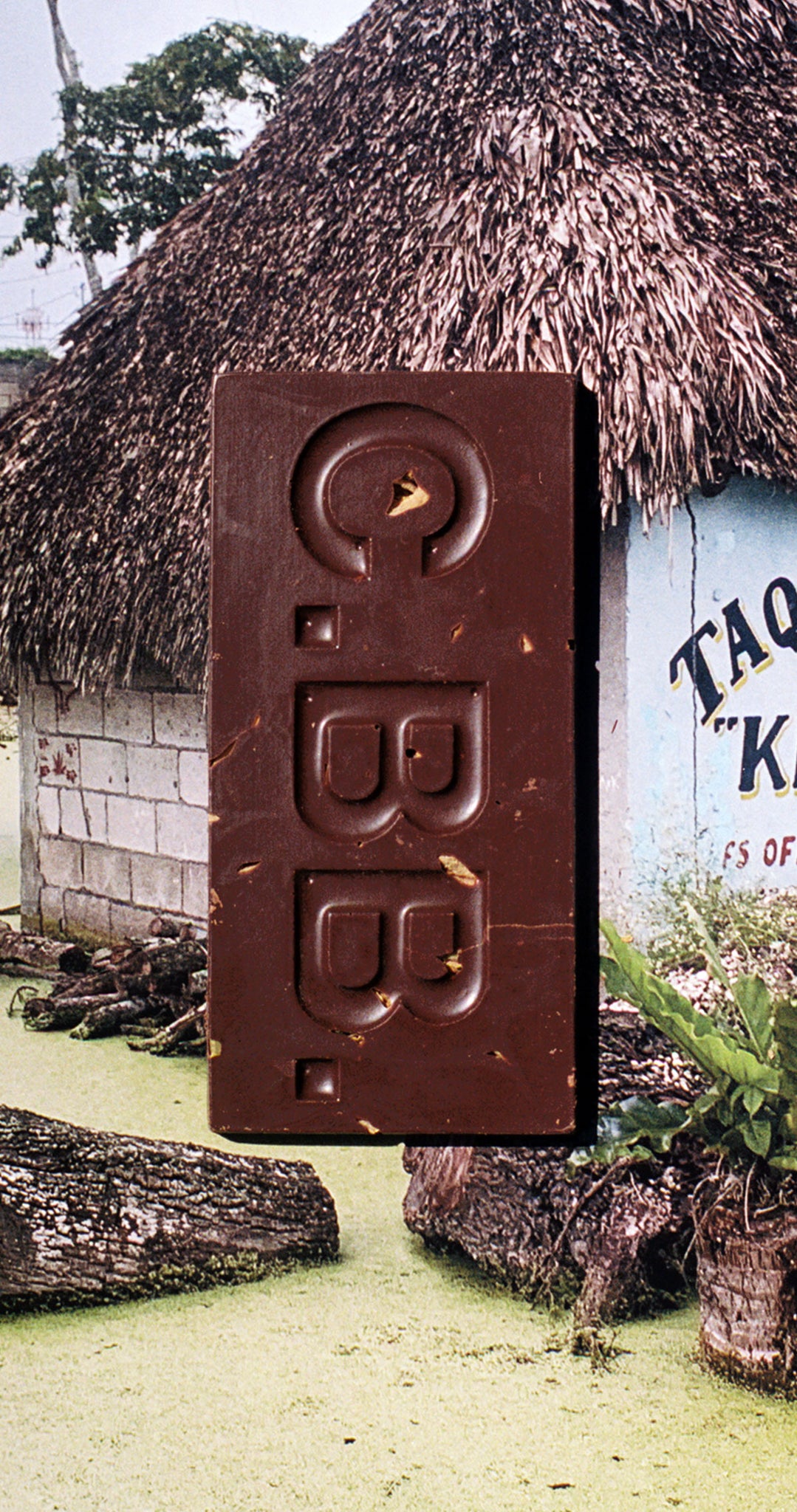 FLOR DE CACAO