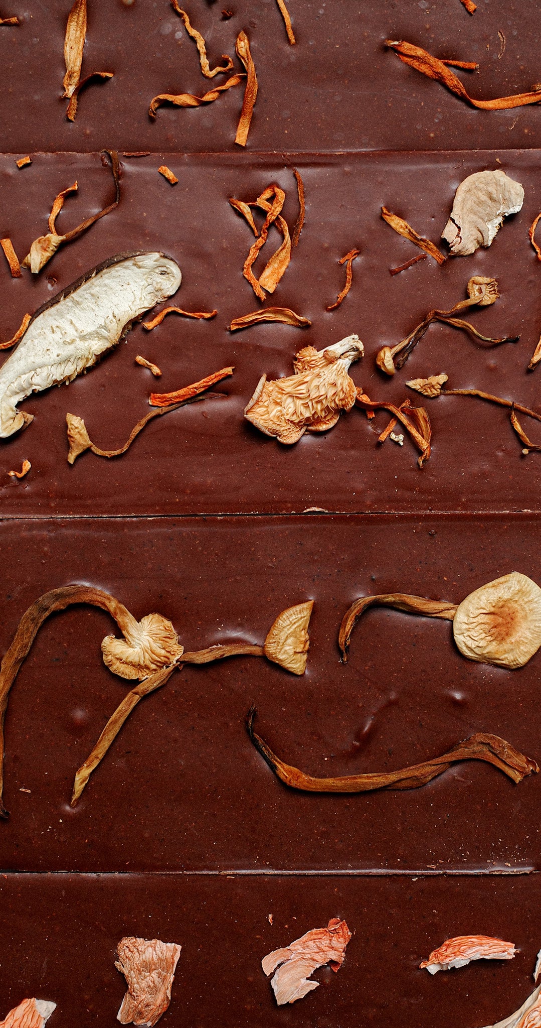 MYCELIUM EDITION 4 BAR SET