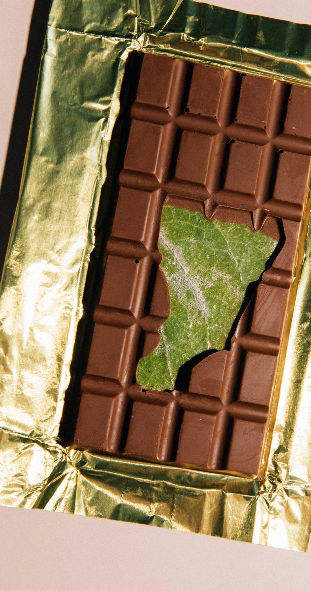 HOJA SANTA