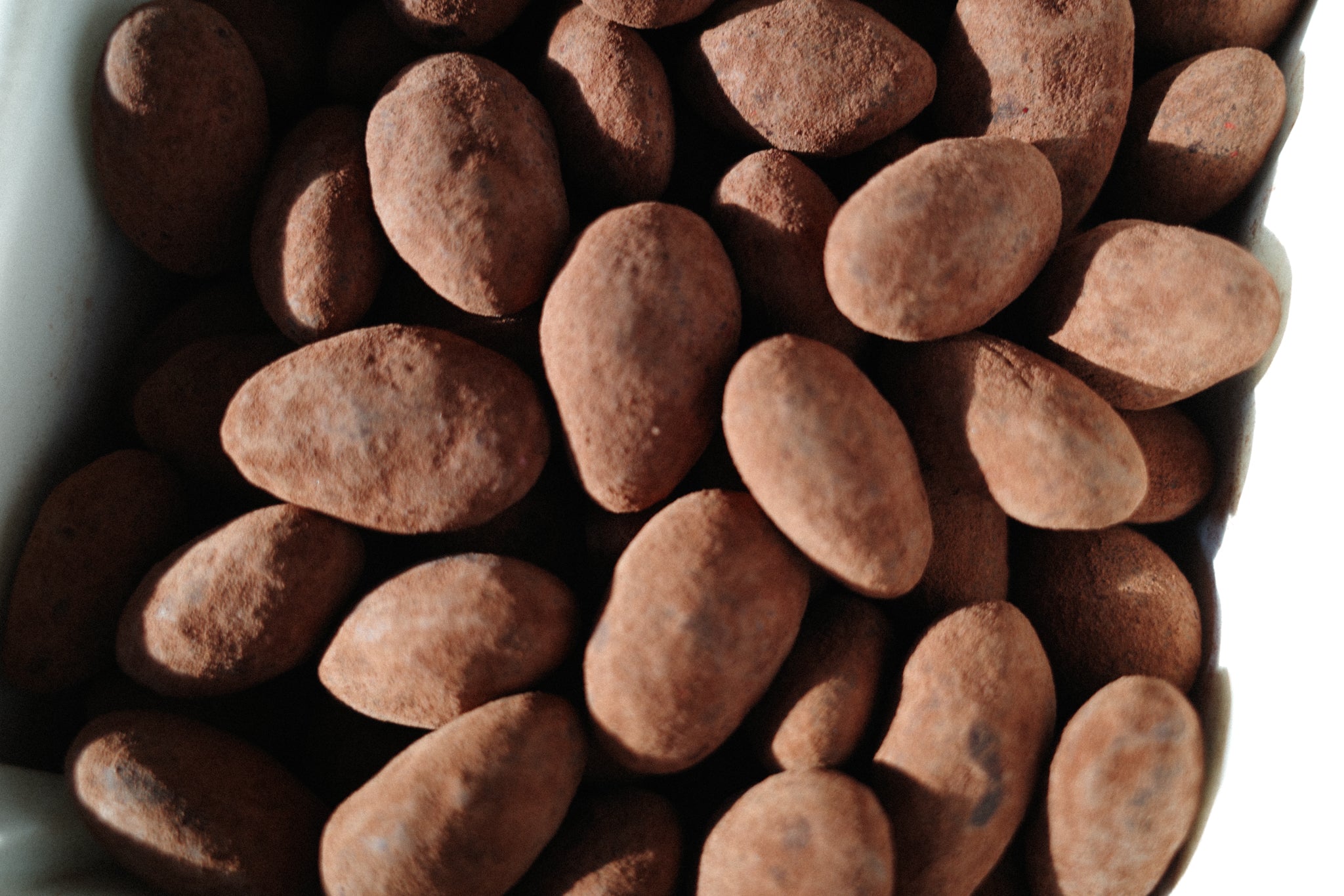 CHOCOLATE COVERED ALMONDS